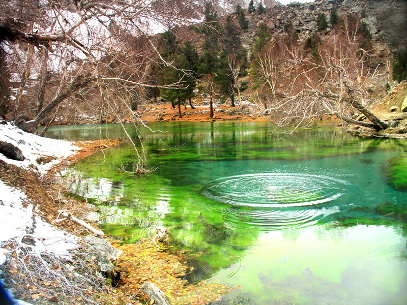 Naltar Lake