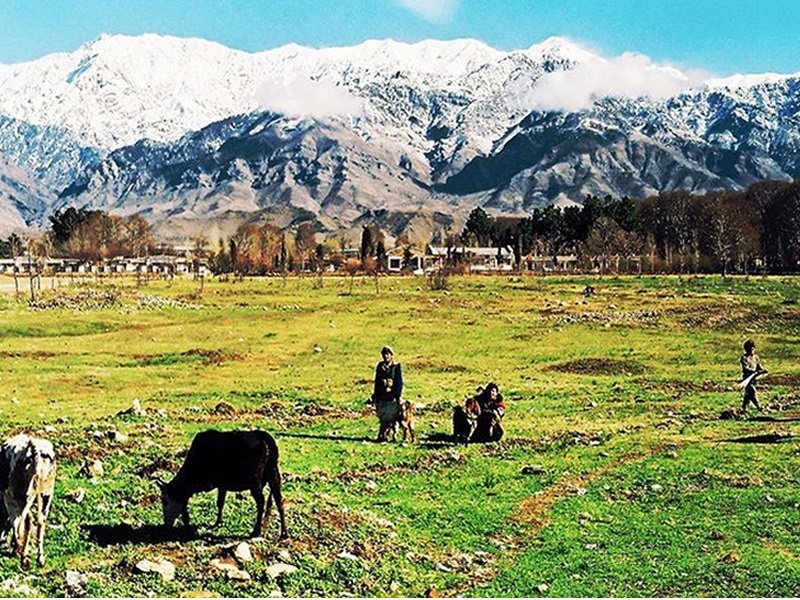 Parachinar