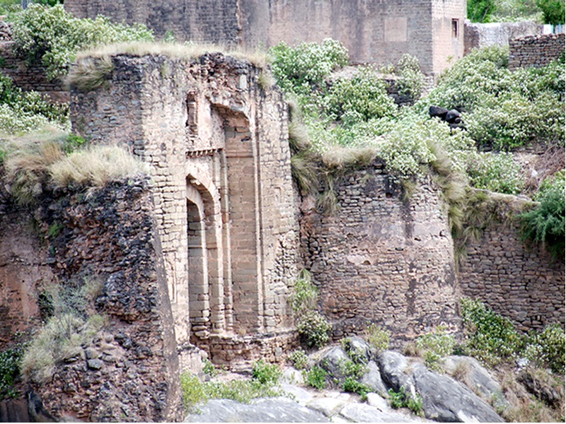 Pharwala Fort