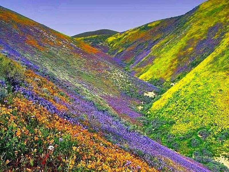 Astore-Valley-Gilgit-Baltistan-e-800x600.png