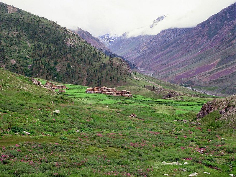 Astore-Valley-Gilgit-Baltistan-g-800x600.png