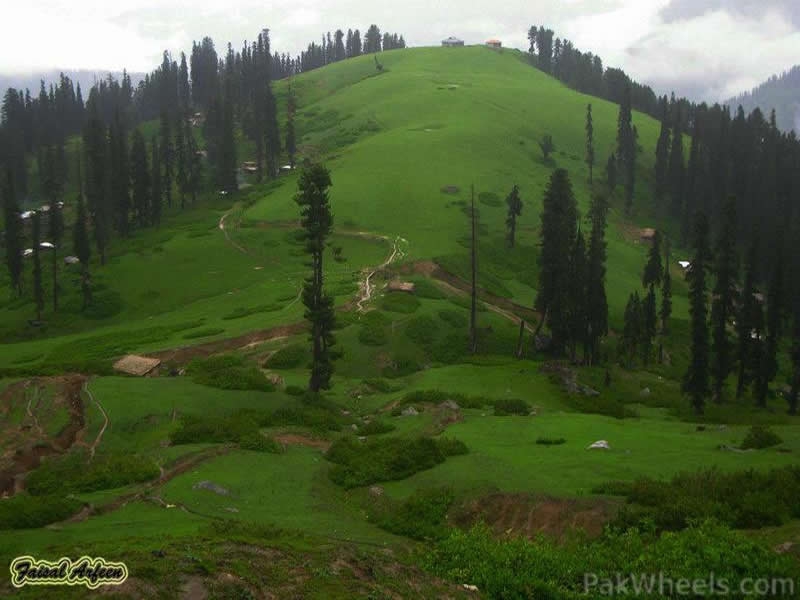 Danna-Meadows-Kaghan-Valley-b.jpg