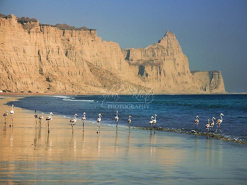 Gwadar-beach-balochistan-c.jpg