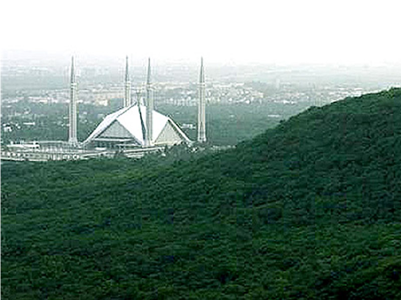 Margalla-Hills-Islamabad-b-800x600.png