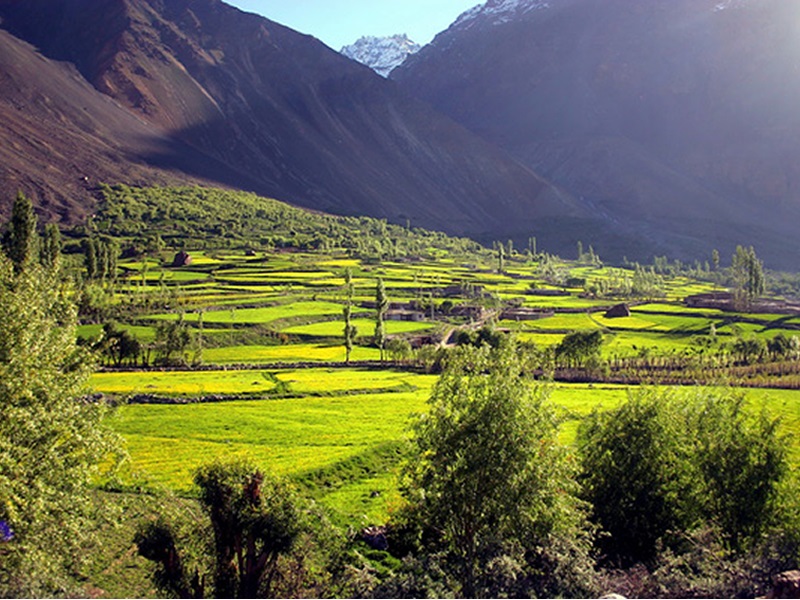 Phander-Ghizer-Valley-Gilgit-Baltistan-c-800x600.png