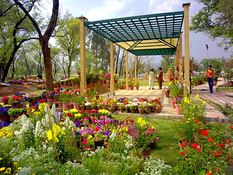 Rose-and-Jasmine-Garden-Islamabad-b-800x600.png