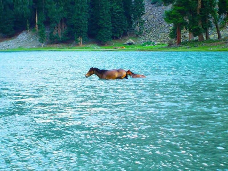 Mahodand Lake