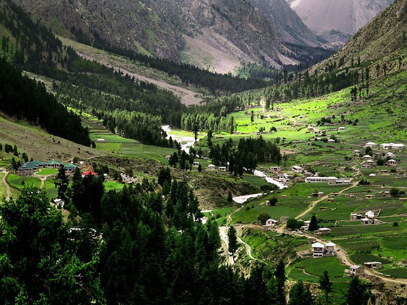 Naltar Valley