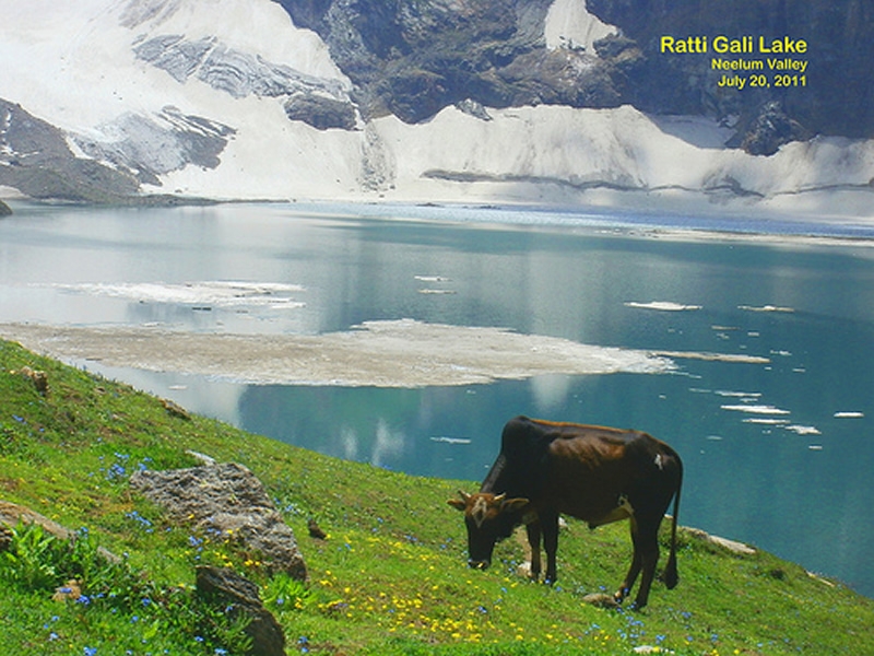 Jeep Safari To Ratti Gali Lake Kutton Athmuqam Keran Neelum Valley